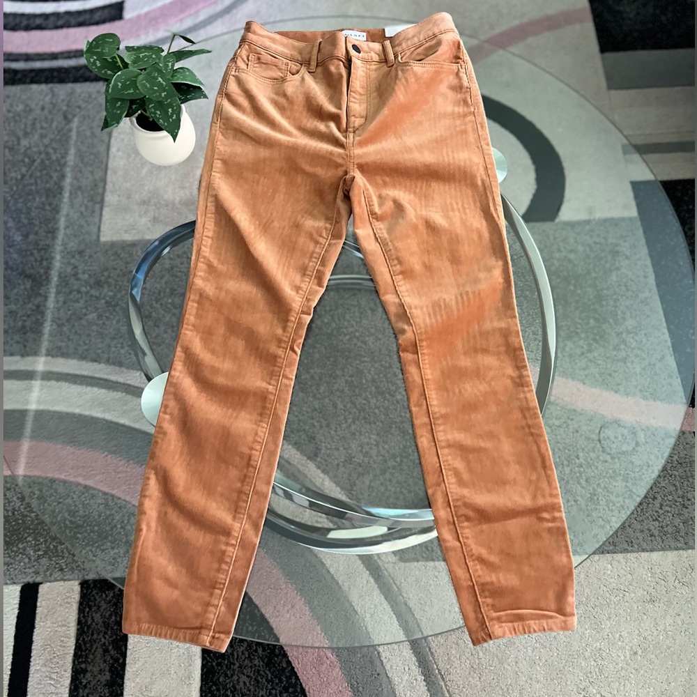 The skinny High Rise Regular Petite Jeans